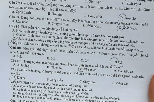 Gợi ý đáp án môn Vật lý tốt nghiệp THPT 2022-6