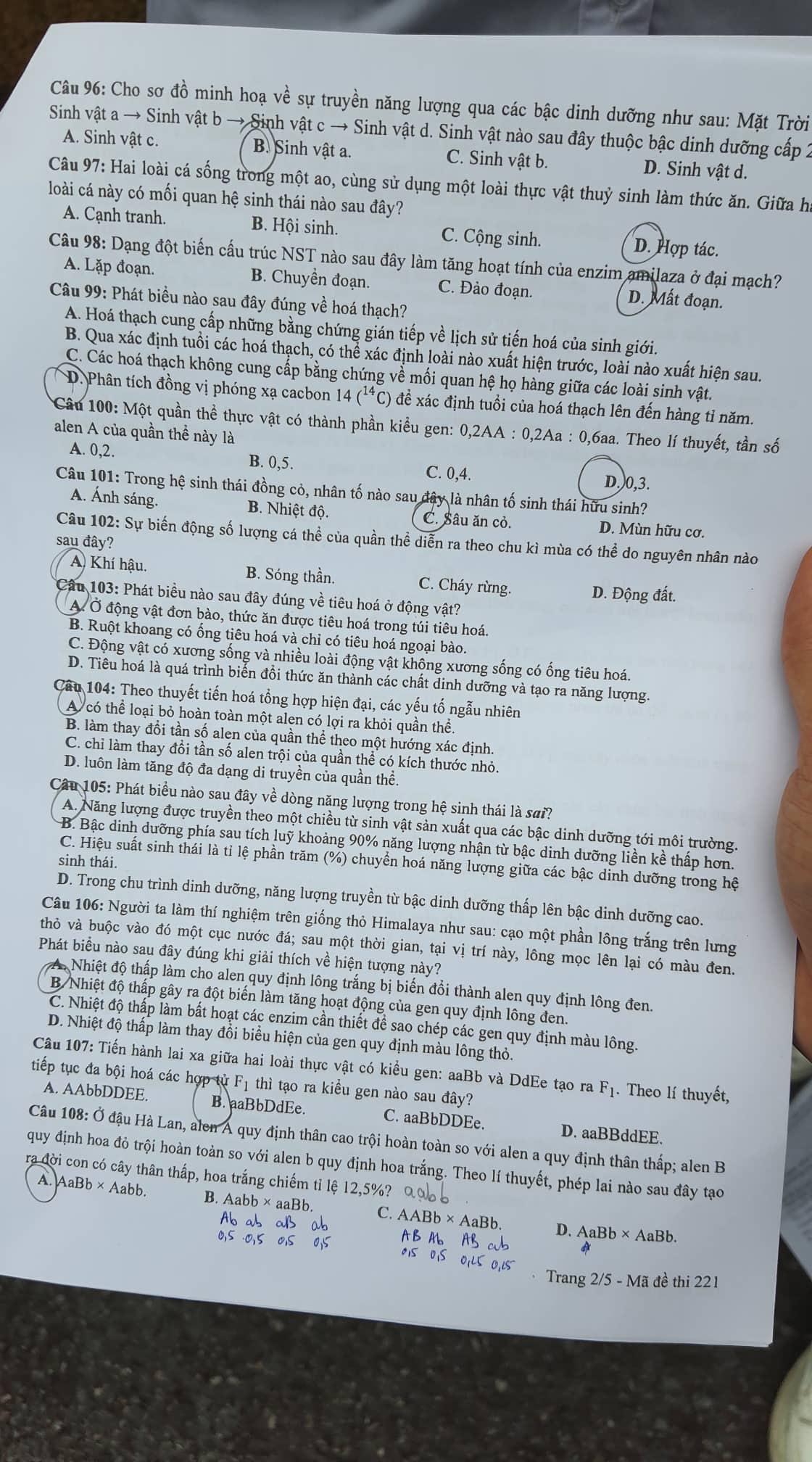 Đề thi môn Sinh học tốt nghiệp THPT 2022-2