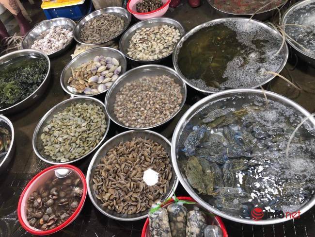 Hải sản tăng giá chóng mặt-1