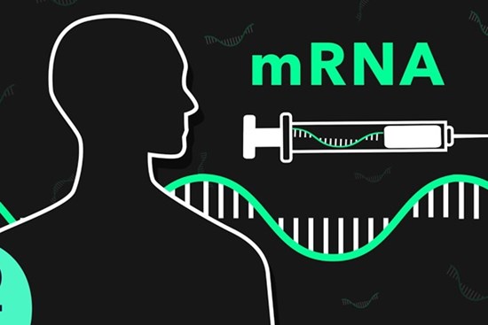 Công nghệ vaccine COVID-19 được sử dụng để điều trị ung thư