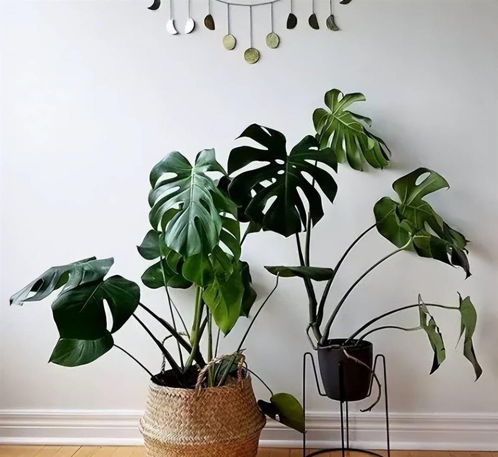 Đổ bia vào quần áo, bạn sẽ choáng với điều xảy ra-5