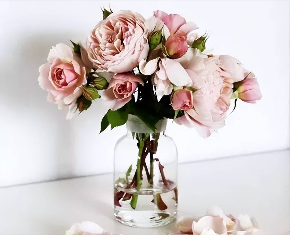 Đổ bia vào quần áo, bạn sẽ choáng với điều xảy ra-6