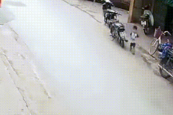 Cú đánh lái của tài xế xe container cứu mạng hai thiếu nữ trong gang tấc-1