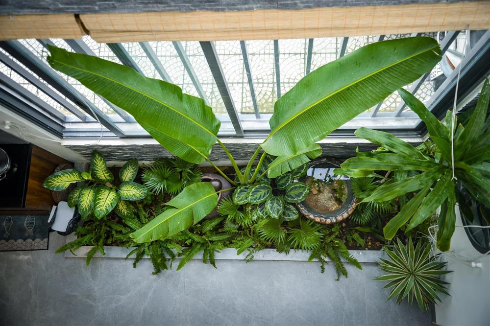 Ngôi nhà trong ngõ ngập cây xanh, góc bàn ăn thật chill bên khu vườn nhỏ-15