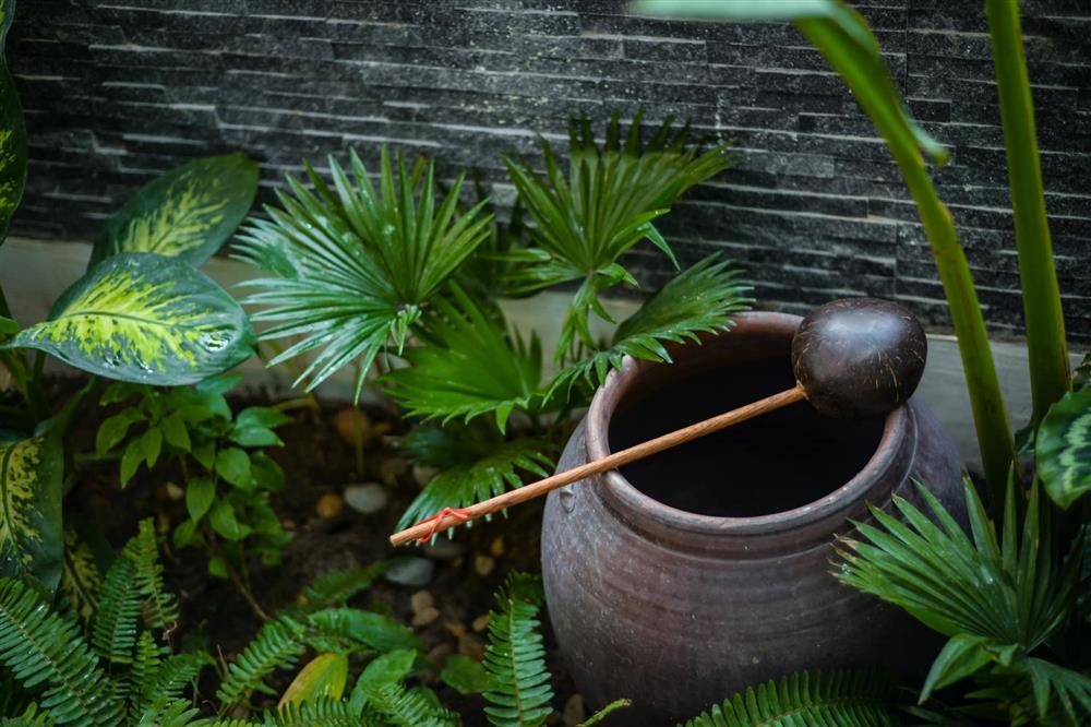 Ngôi nhà trong ngõ ngập cây xanh, góc bàn ăn thật chill bên khu vườn nhỏ-18