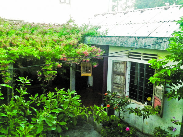 Vì tài sản thừa kế, con cái ra sức tranh giành, mang cả mẹ già... đi giấu-2