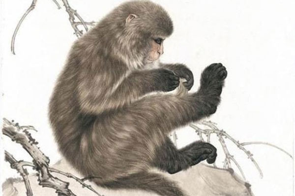 Gia đình nào có đủ 4 con giáp này thì gia đình đó ắt hẳn giàu có-5