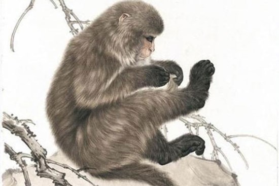 Tử vi 12 con giáp chủ nhật ngày 10/7/2022: Tuổi Tý vạn sự thuận lợi, Ngọ phòng họa tiểu nhân