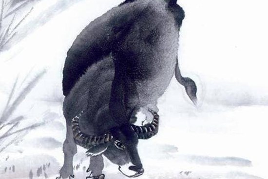 Gia đình nào có đủ 4 con giáp này thì gia đình đó ắt hẳn giàu có