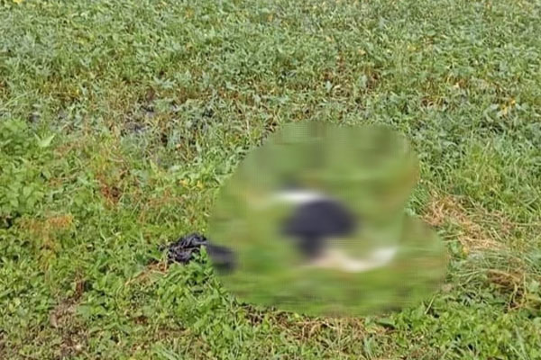 Nguyên nhân nam công nhân tử vong bất thường cạnh Quốc lộ 1-1