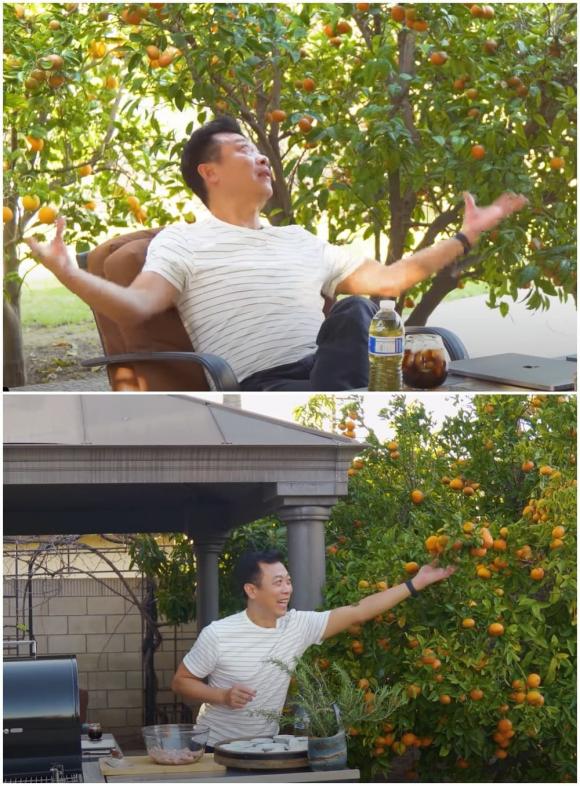Vân Sơn thu hoạch trái cây trong vườn rộng 1.200 m2 ở Mỹ: Đủ loại quả nhiệt đới, nhìn thôi đã thèm-5
