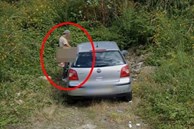 Cặp đôi rúc xe vào bãi cỏ ven đường để 'hành sự', không ngờ vẫn bị camera của Google Maps 'tóm gọn'