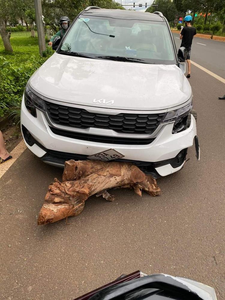 Nữ tài xế ở Bình Phước bỏ chạy sau tai nạn, người dân truy đuổi, dùng cây gỗ chặn đầu xe-2