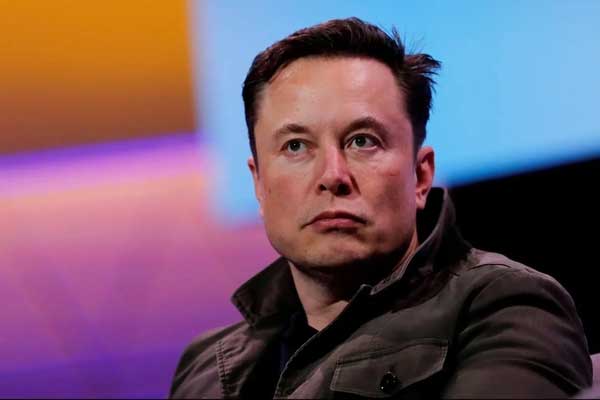Bố của tỷ phú Elon Musk sinh con với con gái riêng của vợ cũ-2