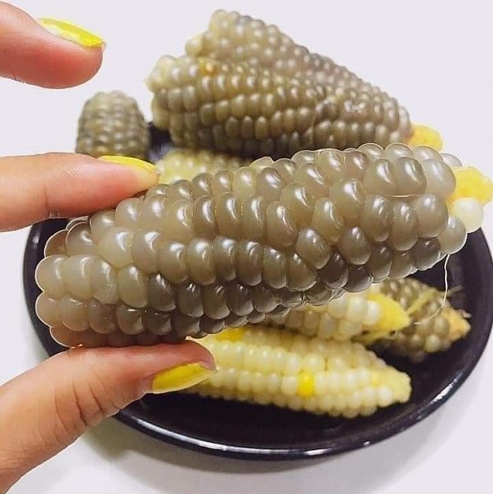 Ngô nếp tí hon hút khách Hà Thành, chị em mua cả trăm bắp về thưởng thức-5