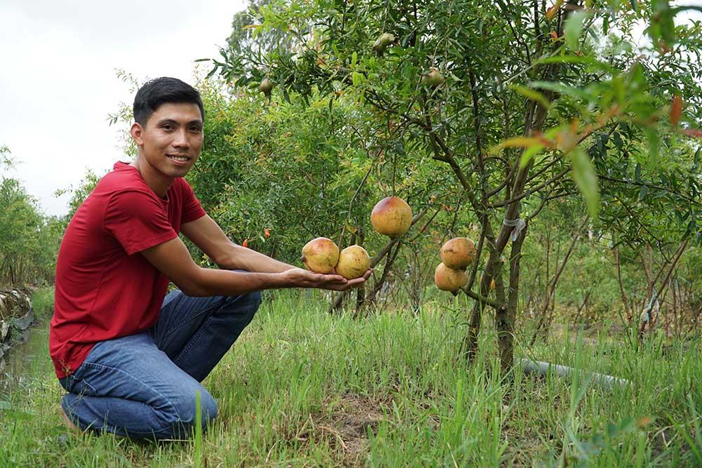 Liều trồng cây lạ, chàng trai miền Tây bất ngờ thu 1 tỷ đồng/năm-3