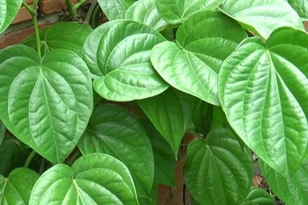 Những cách phê bình nhẹ nhàng để không hủy hoại lòng tự trọng của con trẻ-7