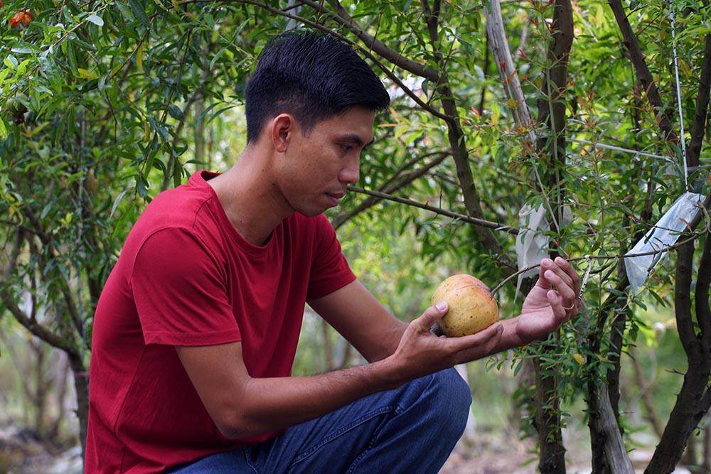 Liều trồng cây lạ, chàng trai miền Tây bất ngờ thu 1 tỷ đồng/năm-6