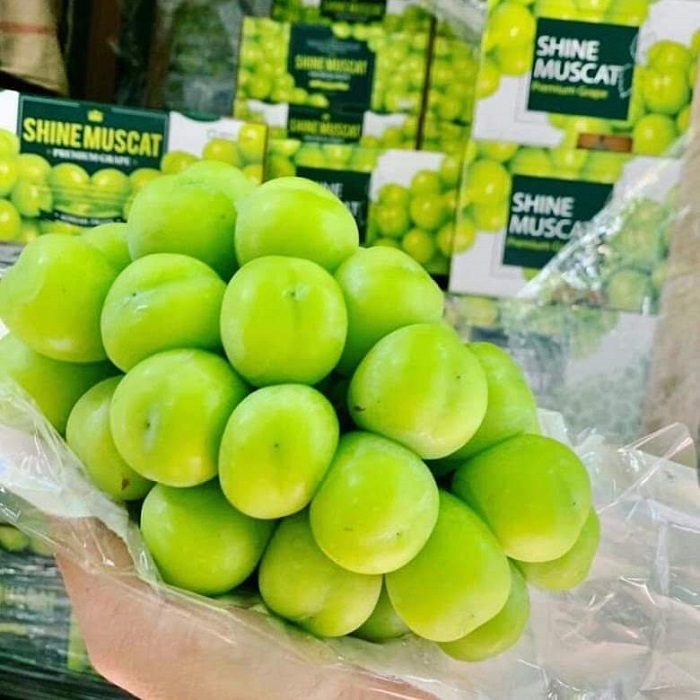 Bất ngờ nho sữa được bán đầy chợ Việt với giá chỉ từ 99 nghìn đồng/kg-1