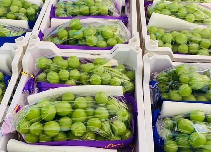 Bất ngờ nho sữa được bán đầy chợ Việt với giá chỉ từ 99 nghìn đồng/kg-4