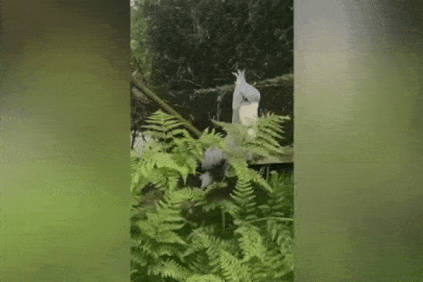 Trái Đất trước khi có khủng long trông như thế nào?-1