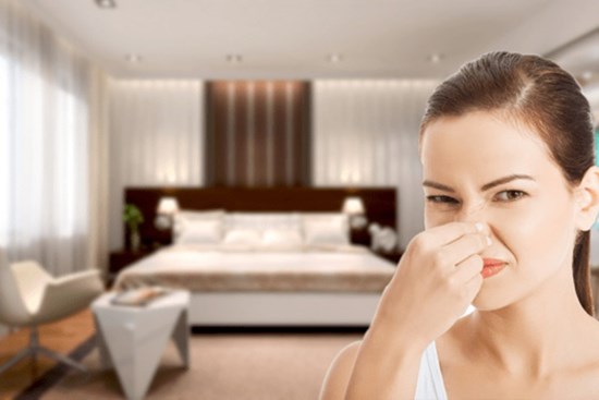 Phòng kín thường có mùi ẩm mốc khó chịu, đặt ít bột này vừa hết mùi lại khử khuẩn hiệu quả