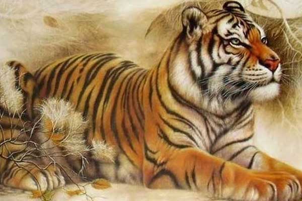 Định mệnh an bài: 3 con giáp khổ trước sướng sau, qua 35 tuổi sự nghiệp phất lên ầm ầm, tiền tài rủng rỉnh-3