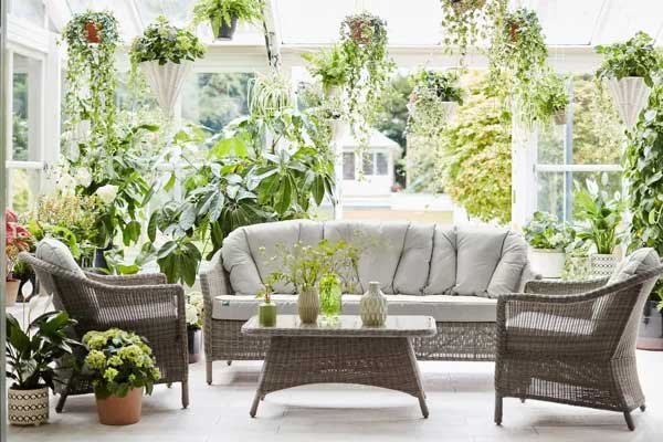 Muốn cây cảnh điên cuồng phát triển, chỉ cần cho uống 2 loại nước thần dược này-1