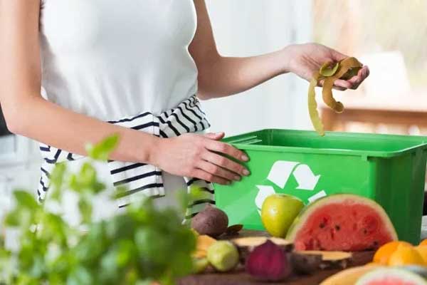Muốn cây cảnh điên cuồng phát triển, chỉ cần cho uống 2 loại nước thần dược này-5