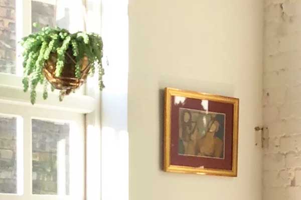 Muốn cây cảnh điên cuồng phát triển, chỉ cần cho uống 2 loại nước thần dược này-6