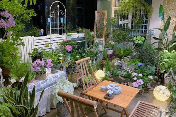 Khu vườn ban công chỉ vỏn vẹn vài mét vuông mà đếm mỏi tay số lượng hoa có trong vườn-32