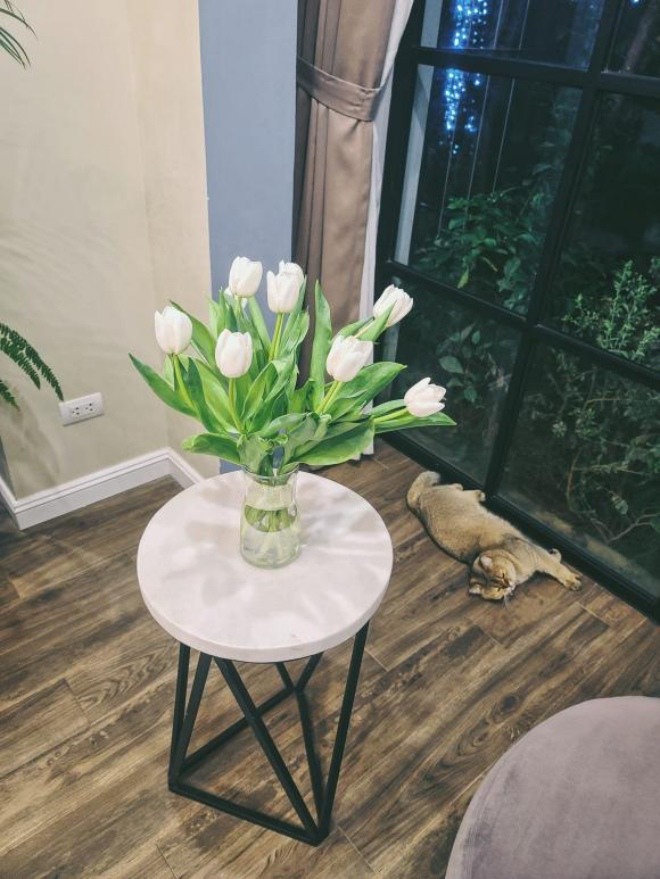 Hé lộ không gian sống của Hoa hậu thân thiện Dương Thùy Linh-7