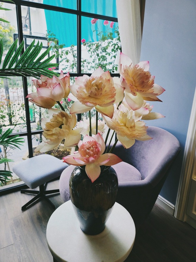 Hé lộ không gian sống của Hoa hậu thân thiện Dương Thùy Linh-11