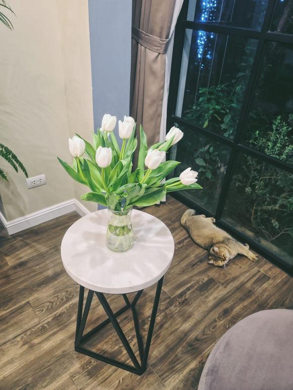 Hé lộ không gian sống của Hoa hậu thân thiện Dương Thùy Linh-15