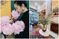 Hé lộ không gian sống của Hoa hậu thân thiện Dương Thùy Linh
