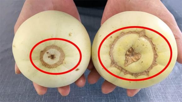 Làm thế nào để phân biệt dưa hormone? Người nông dân trồng dưa 40 năm: Dạy bạn 4 cách để chọn dưa lê giòn và ngon ngọt-1