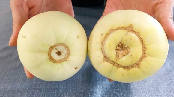 Làm thế nào để phân biệt dưa hormone? Người nông dân trồng dưa 40 năm: Dạy bạn 4 cách để chọn dưa lê giòn và ngon ngọt-6