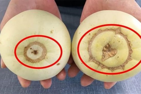 Làm thế nào để phân biệt dưa hormone? Người nông dân trồng dưa 40 năm: Dạy bạn 4 cách để chọn dưa lê giòn và ngon ngọt