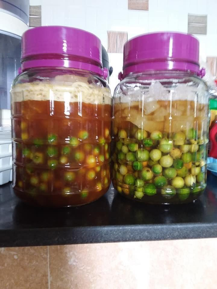 Loại chanh bé như quả quất mà giá bán cao ngất, dân buôn bán hàng tấn mỗi vụ-3