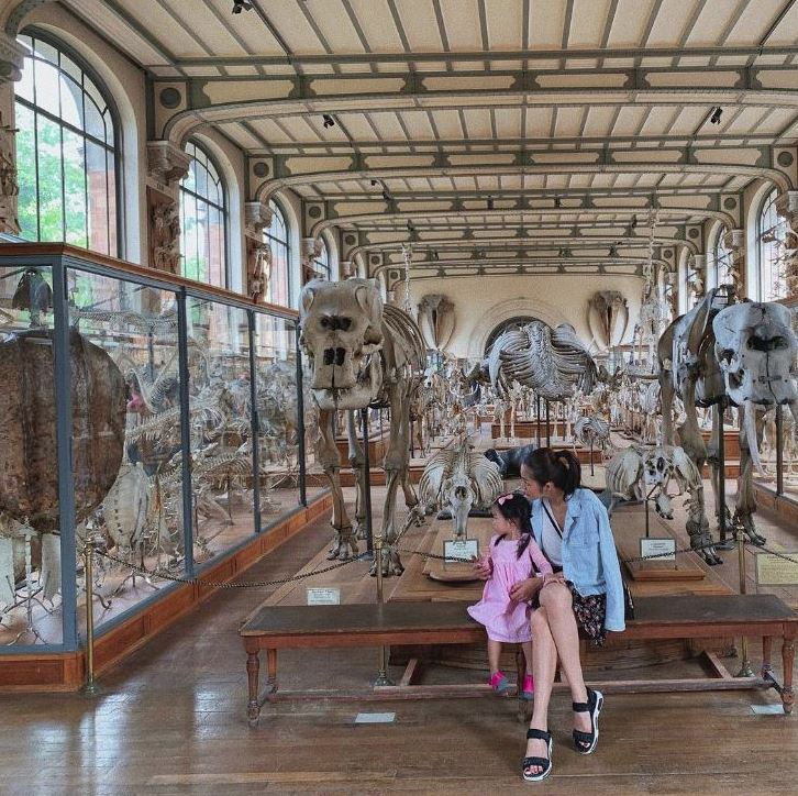 Cả Hồ Ngọc Hà và Tăng Thanh Hà đều đưa con đến nơi này chơi: Giáo sư nổi tiếng nói rất tốt, giúp trẻ phát triển trí thông minh-3