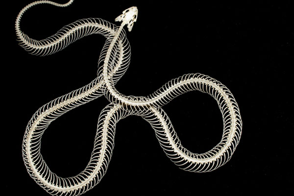 Chiếc ấm sắt này có gì đặc biệt mà giá bán tới vài chục triệu?-3