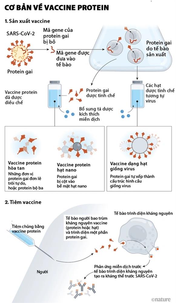 Mỹ phê duyệt sử dụng khẩn cấp vaccine Novavax-2