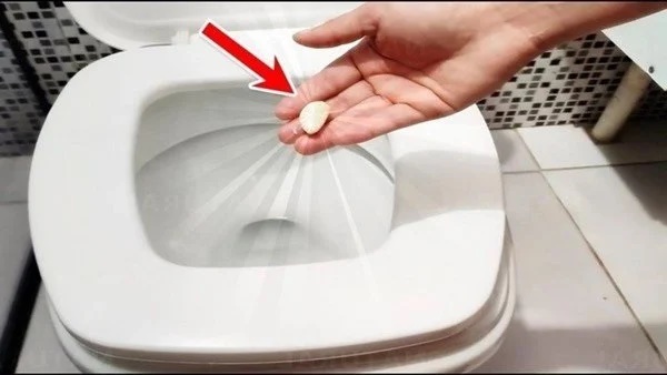 Bỏ 1 tép tỏi vào bồn cầu: Công dụng tuyệt vời mà nhiều người chưa biết-1