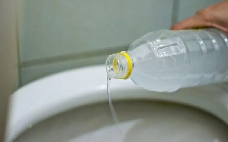 Bỏ 1 tép tỏi vào bồn cầu: Công dụng tuyệt vời mà nhiều người chưa biết-2