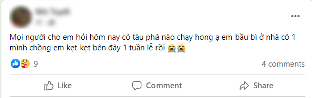 Mắc kẹt gần 1 tuần trong chuyến đi bão táp tại Phú Quốc: Nhiều người nóng lòng trở về, khách sạn giảm 20% giá phòng-4