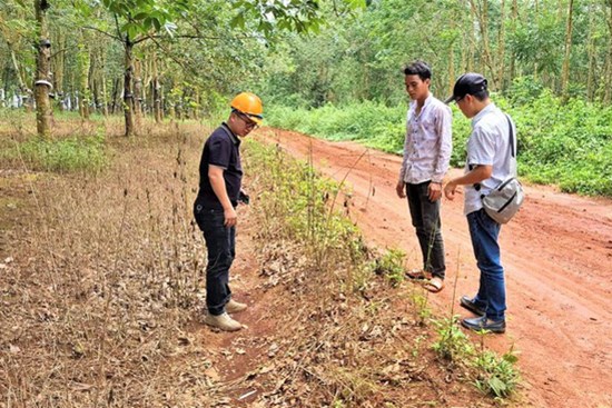 Tạm giữ đối tượng châm lửa đốt chân bé trai 8 tuổi ở Đắk Lắk