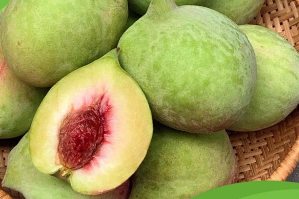 Bất ngờ công dụng của quả đào với sức khỏe, khi ăn đào cần tránh thao tác nhỏ này để loại bỏ độc tố-1