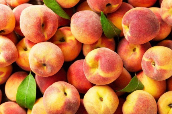 Bất ngờ công dụng của quả đào với sức khỏe, khi ăn đào cần tránh thao tác nhỏ này để loại bỏ độc tố-2