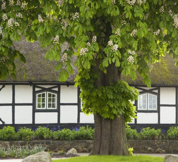 Ngoài cửa sổ phạm phải lỗi cấm kỵ này, vận xui kéo tới, tai họa liên tiếp, sự nghiệp - tài lộc - sức khỏe của gia chủ không được yên ổn-1