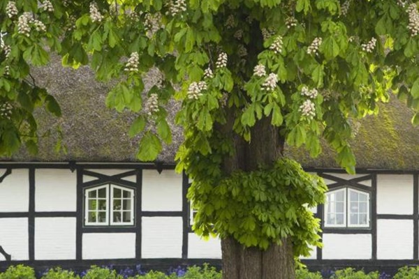 Bốn vị trí này trong ngôi nhà là bảo vật phong thủy, đồng thời cũng là nơi ẩn chứa vận may của gia đình-5